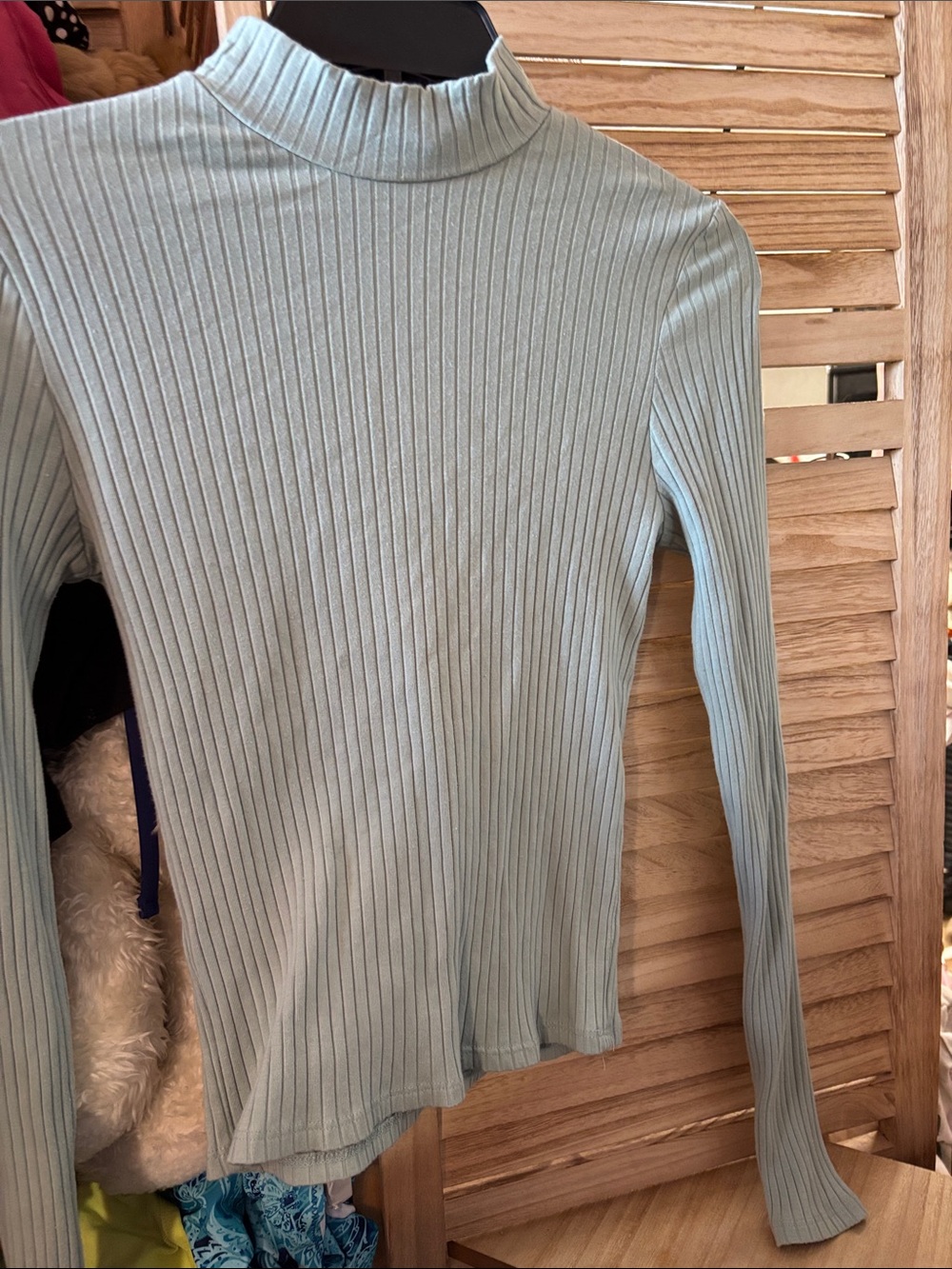 Ribbed Mock Neck Long-Sleeve Top in Light Green Junior Medium
